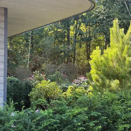 شقة New! Birutes Parko Apartamentai بالانغا