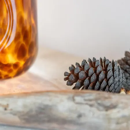 New! Birutes Parko Apartamentai * بالانغا