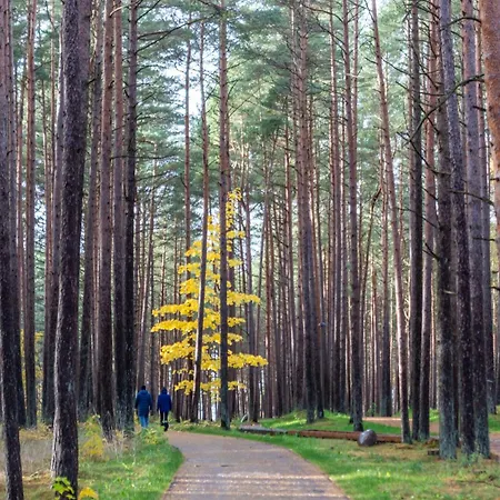 شقة New! Birutes Parko Apartamentai