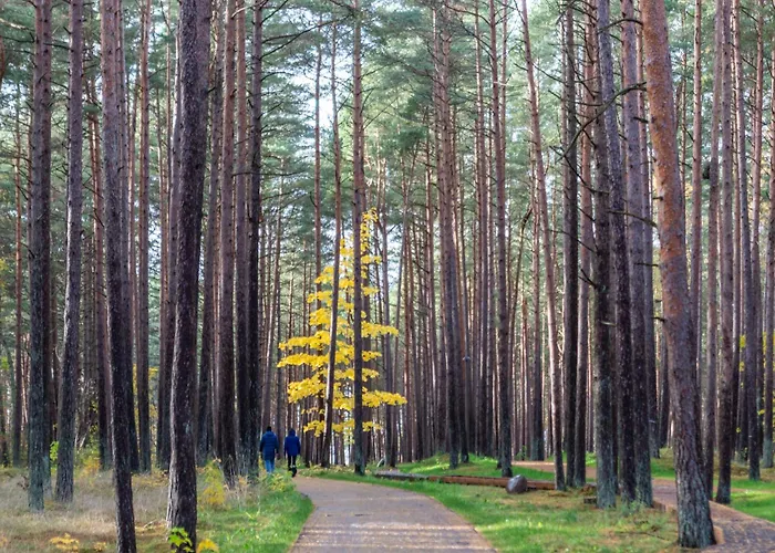 Apartman New! Birutes Parko Apartamentai