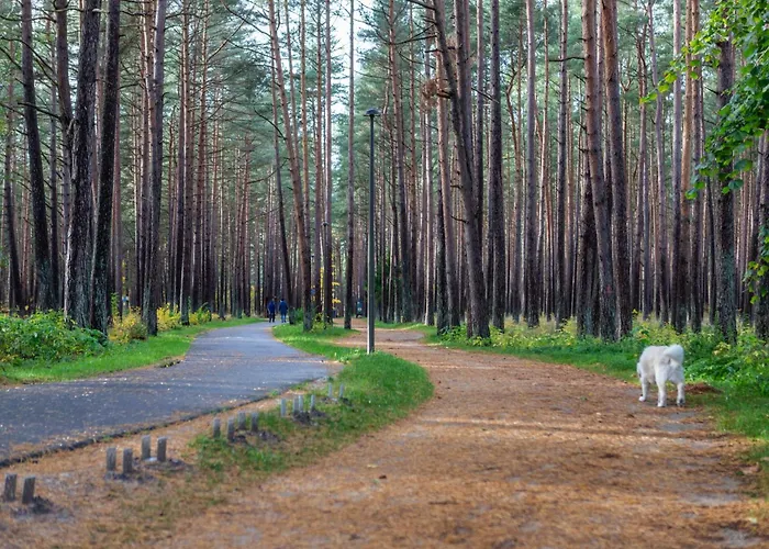 New! Birutes Parko Apartamentai